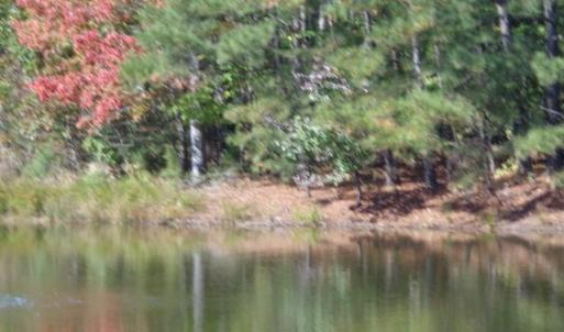 Photo #8 of 1445 Morgarts Beach Road, Smithfield, Virginia 17.9 acres