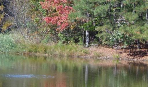 Photo #9 of 1445 Morgarts Beach Road, Smithfield, Virginia 17.9 acres