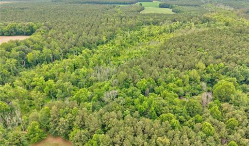 Photo #12 of 1101 Cypress Chapel Road, Suffolk, Virginia 18.7 acres