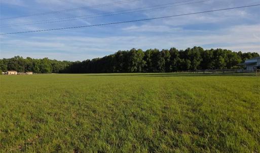 Front of lot from street.  Houses on either side are not part of this lot