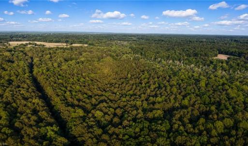 Photo #4 of 15+AC Fiddlers Green Road, Gloucester, Virginia 23.8 acres