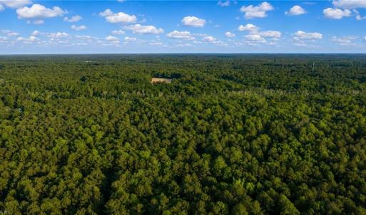 Photo #5 of 15+AC Fiddlers Green Road, Gloucester, Virginia 23.8 acres