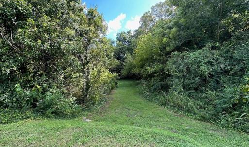 Photo #4 of 1915 Arlington Avenue, Norfolk, Virginia 0.8 acres
