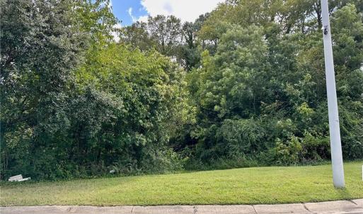 Photo #5 of 1915 Arlington Avenue, Norfolk, Virginia 0.8 acres