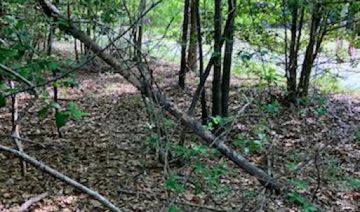 Photo #3 of .55acs Nottoway Drive, Courtland, Virginia 0.6 acres