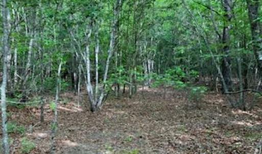Photo #4 of .55acs Nottoway Drive, Courtland, Virginia 0.6 acres