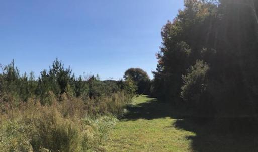 Photo #6 of 2.9+AC Plantation Road, Onancock, Virginia 3.0 acres