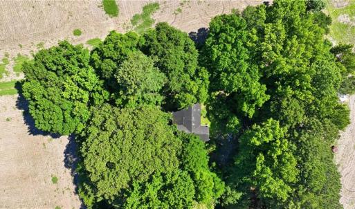 Photo #7 of 1229 Princess Anne Road, Virginia Beach, Virginia 108.0 acres