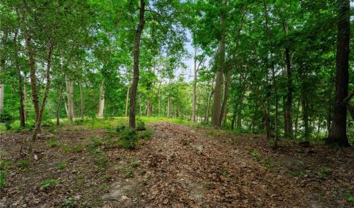 Photo #11 of 1015 Wilton Coves Drive, Hartfield, Virginia 0.7 acres