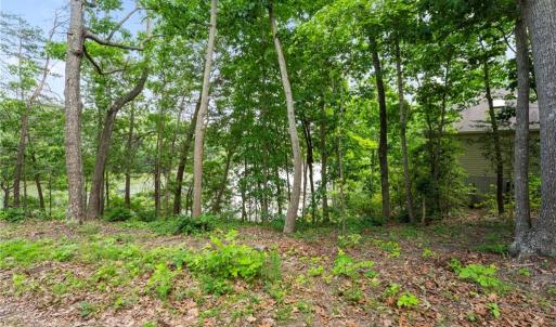 Photo #13 of 1015 Wilton Coves Drive, Hartfield, Virginia 0.7 acres