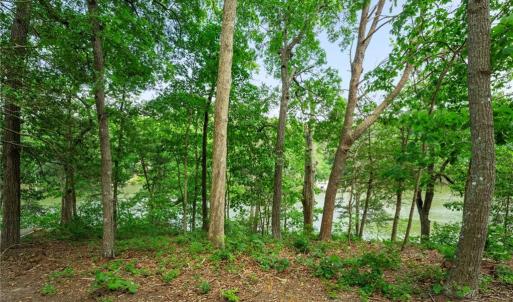 Photo #14 of 1015 Wilton Coves Drive, Hartfield, Virginia 0.7 acres