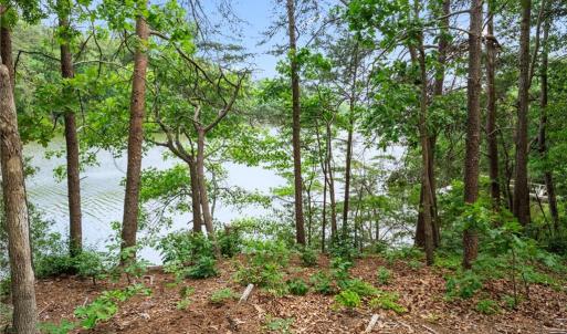 Photo #16 of 1015 Wilton Coves Drive, Hartfield, Virginia 0.7 acres