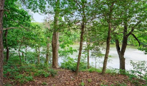 Photo #3 of 1015 Wilton Coves Drive, Hartfield, Virginia 0.7 acres