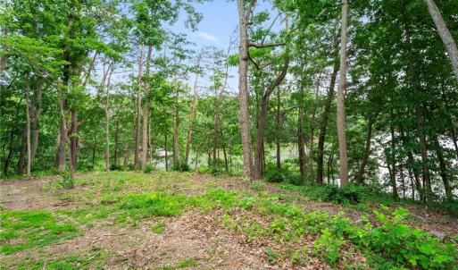 Photo #4 of 1015 Wilton Coves Drive, Hartfield, Virginia 0.7 acres