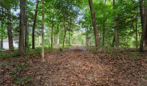 Photo #10 of 1015 Wilton Coves Drive, Hartfield, Virginia 0.7 acres