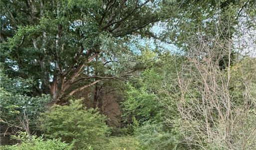 Photo #2 of 2524 Battlefield Boulevard, Chesapeake, Virginia 2.0 acres