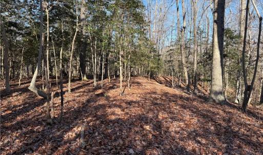 Photo #2 of 5 Meadow Circle, Williamsburg, Virginia 19.7 acres