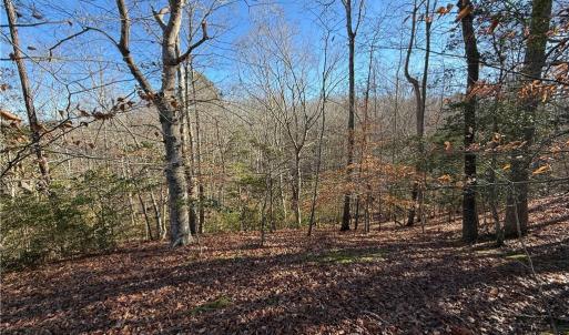 Photo #3 of 5 Meadow Circle, Williamsburg, Virginia 19.7 acres