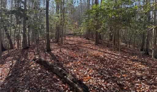 Photo #4 of 5 Meadow Circle, Williamsburg, Virginia 19.7 acres