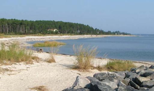Photo #8 of 5+AC Moon Haven Lane, Mathews, Virginia 5.6 acres