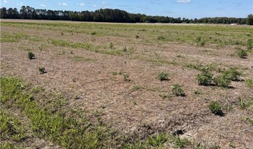 Stunning Vacant Lot Ready For A Home!