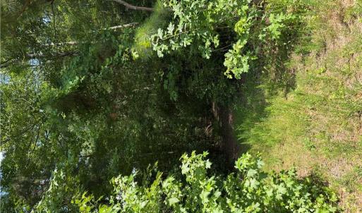 Photo #1 of 1737 Binford Street, Chesapeake, Virginia 0.2 acres