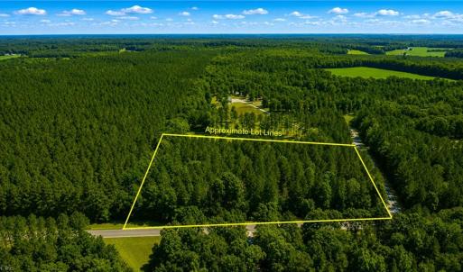 Photo #1 of Lot 42 Forest View Lane, Little Plymouth, Virginia 3.8 acres