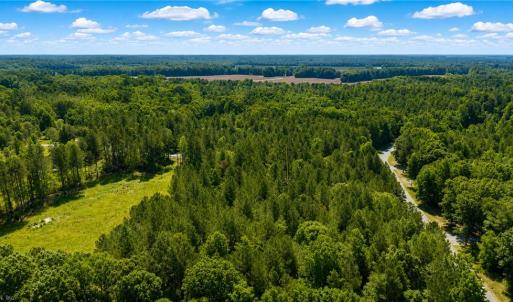 Photo #6 of Lot 42 Forest View Lane, Little Plymouth, Virginia 3.8 acres