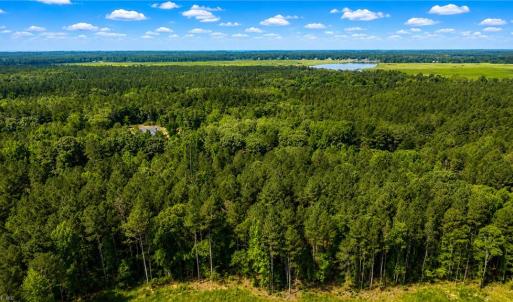 Photo #7 of Lot 42 Forest View Lane, Little Plymouth, Virginia 3.8 acres