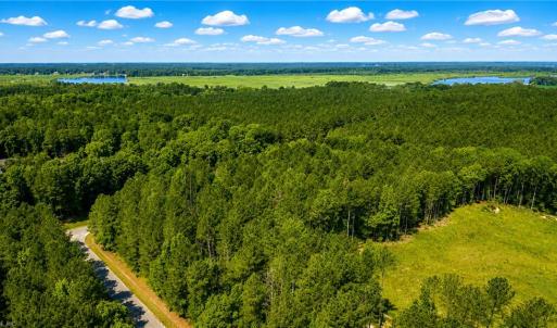 Photo #8 of Lot 42 Forest View Lane, Little Plymouth, Virginia 3.8 acres