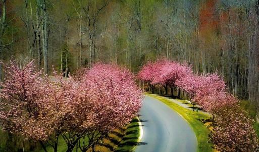 Beautiful winding roads