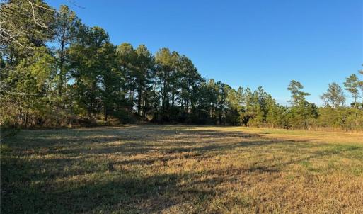 Photo #5 of 151 Messick Road, Poquoson, Virginia 5.2 acres