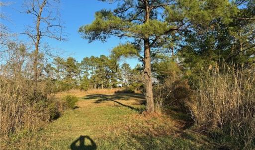 Photo #7 of 151 Messick Road, Poquoson, Virginia 5.2 acres