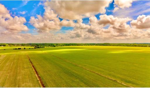 Photo #4 of 145A Beaver Dam Road, Chesapeake, Virginia 144.8 acres