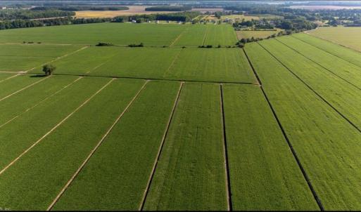 Photo #5 of 145A Beaver Dam Road, Chesapeake, Virginia 144.8 acres