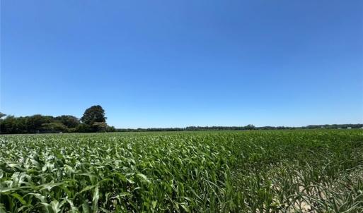Photo #3 of 2A Head Of River Road, Chesapeake, Virginia 2.0 acres