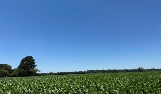 Photo #4 of 2A Head Of River Road, Chesapeake, Virginia 2.0 acres