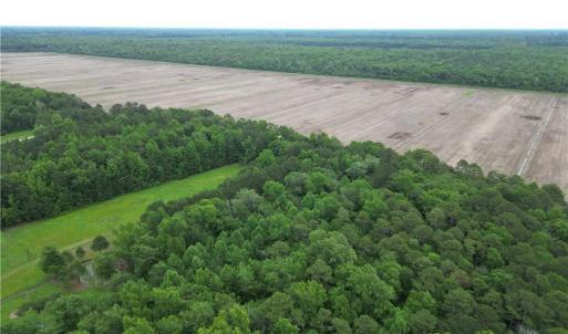 Photo #12 of 1813 Shillelagh Road, Chesapeake, Virginia 7.4 acres