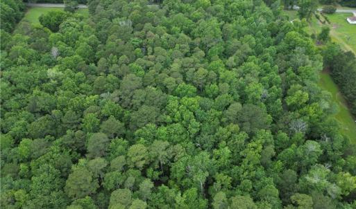 Photo #5 of 1813 Shillelagh Road, Chesapeake, Virginia 7.4 acres