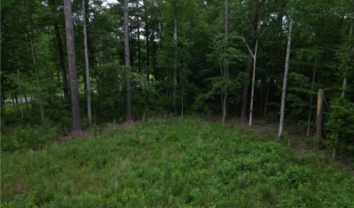 Photo #8 of 1813 Shillelagh Road, Chesapeake, Virginia 7.4 acres