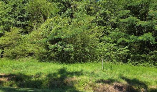 Photo #1 of Lot 3 Branch Bridge Street, Branchville, Virginia 0.5 acres