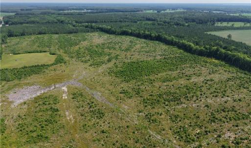 Photo #12 of 109 AC Carolina Rd/NC 32 Highway, Suffolk, Virginia 109.0 acres