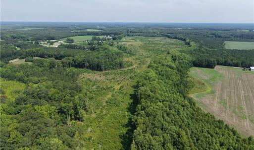 Photo #15 of 109 AC Carolina Rd/NC 32 Highway, Suffolk, Virginia 109.0 acres