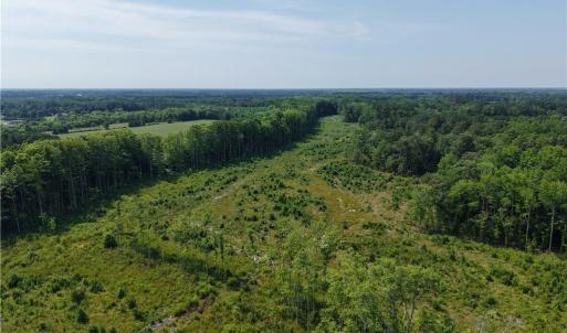 Photo #5 of 109 AC Carolina Rd/NC 32 Highway, Suffolk, Virginia 109.0 acres