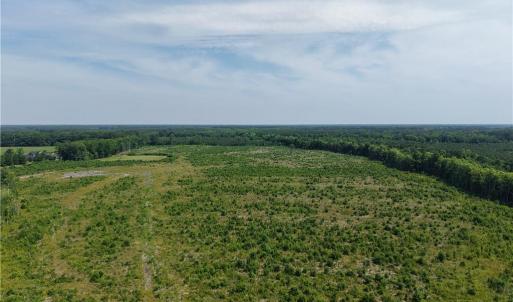 Photo #6 of 109 AC Carolina Rd/NC 32 Highway, Suffolk, Virginia 109.0 acres