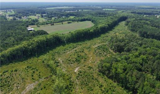 Photo #10 of 109 AC Carolina Rd/NC 32 Highway, Suffolk, Virginia 109.0 acres