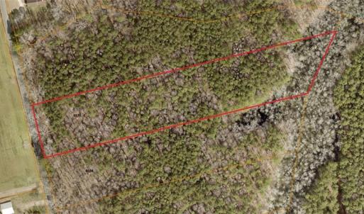 Photo #6 of 6576 Blackwater Road, Virginia Beach, Virginia 4.9 acres