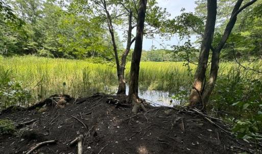 Photo #1 of Lot 7 Mt Holly Creek Lane, Smithfield, Virginia 3.6 acres