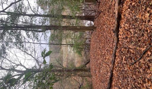 Photo #3 of Lot 7 Mt Holly Creek Lane, Smithfield, Virginia 3.6 acres