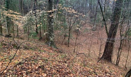 Photo #4 of Lot 7 Mt Holly Creek Lane, Smithfield, Virginia 3.6 acres